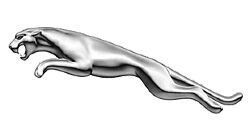 jaguar-2.jpg